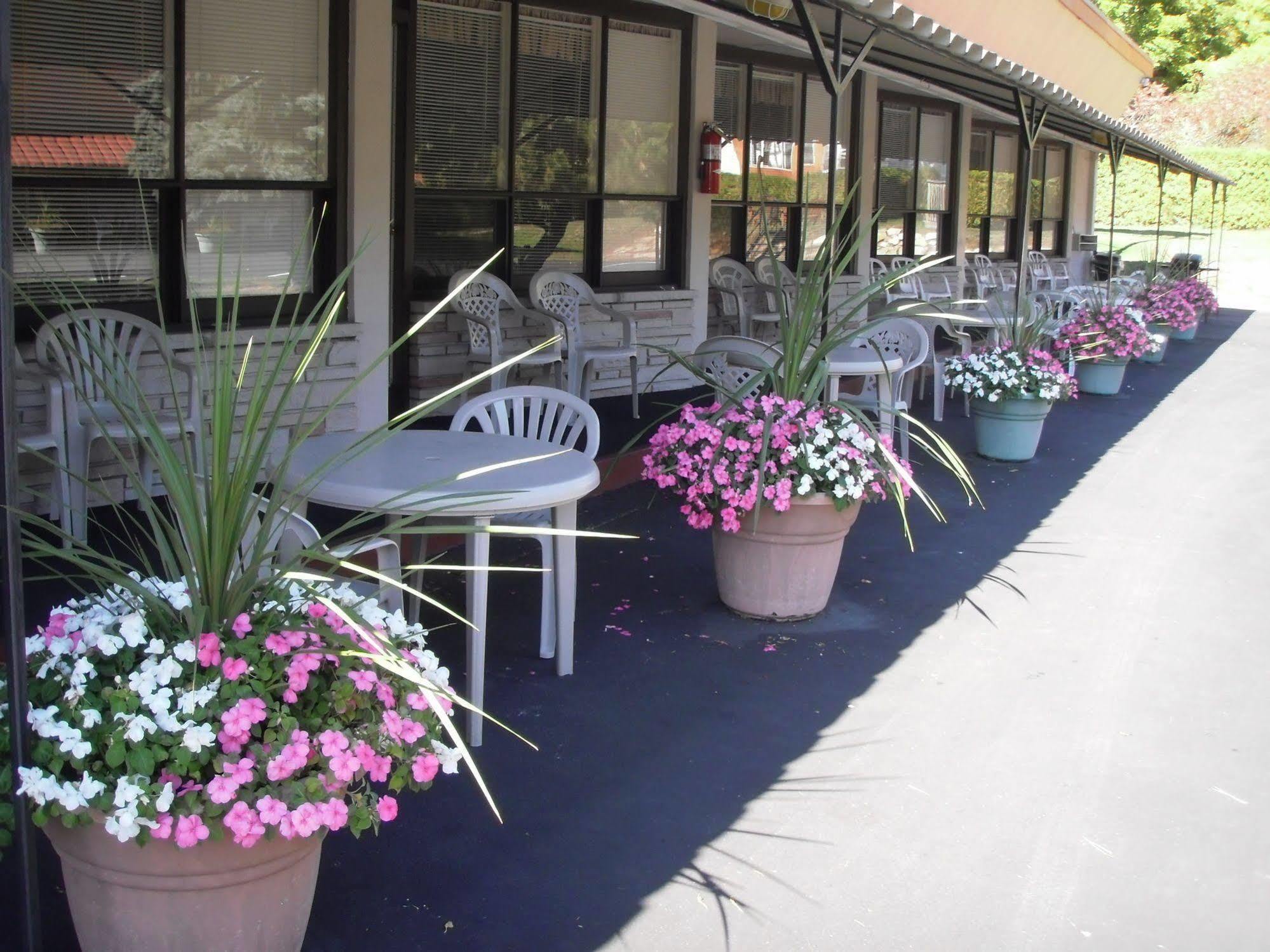 Capricorn Motel Royale 1000 Islands Lansdowne Екстериор снимка